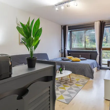 דירה Le Cocoon De Belle Hutte Sous Les Sapins *